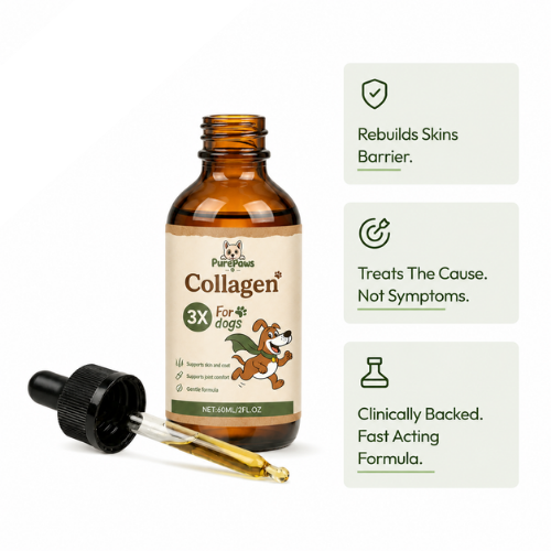 PurePaws Premium Liquid Collagen