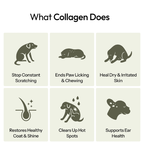PurePaws Premium Liquid Collagen