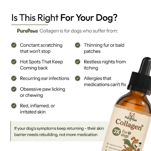 PurePaws Premium Liquid Collagen