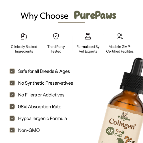 PurePaws Premium Liquid Collagen