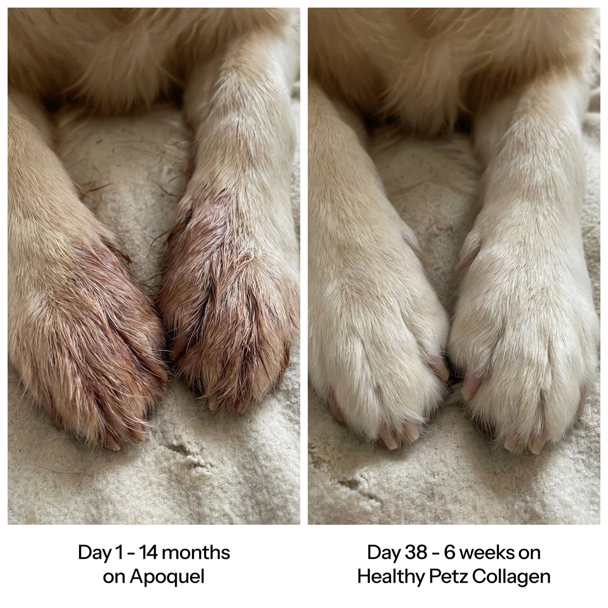 PurePaws Premium Liquid Collagen