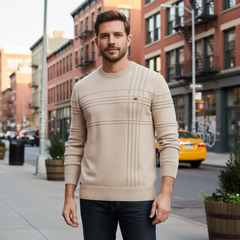 Andrew | Stylish Sweater