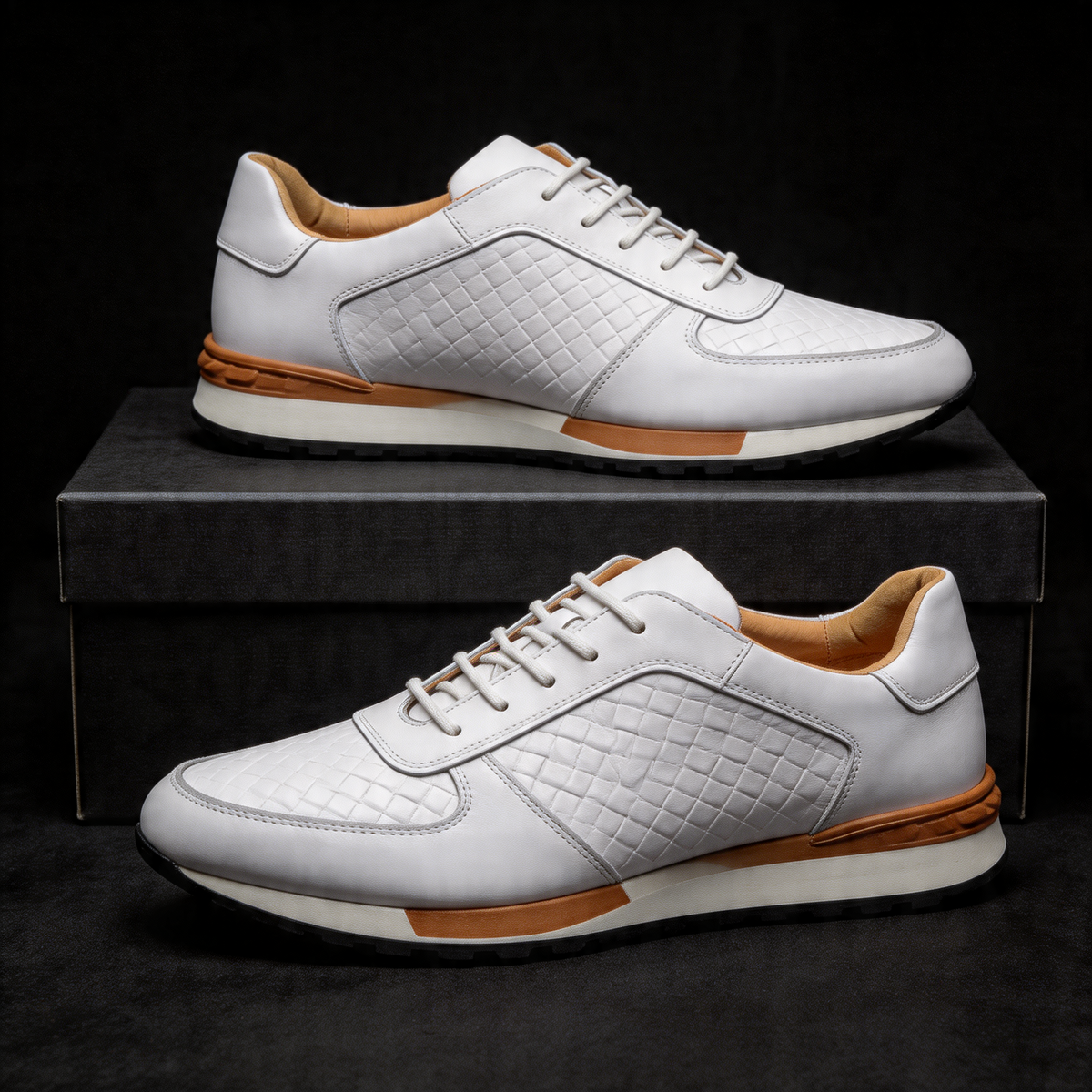 Clarence | Trainer